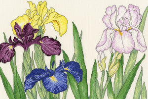 Iris Blooms Cross Stitch Kit