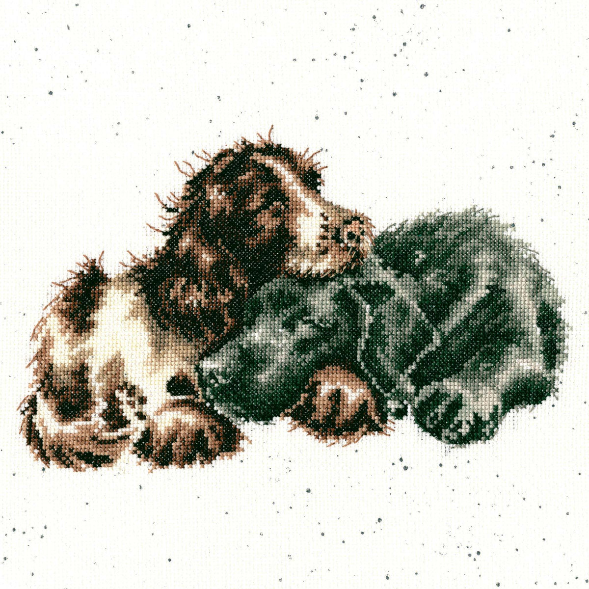 Cross stitch kit "Growing Old Together" featuring two sleeping dogs on 14 count Zweigart aida with Wrendale Designs speckle.