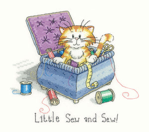 Little Sew and Sew! Cross Stitch Kit