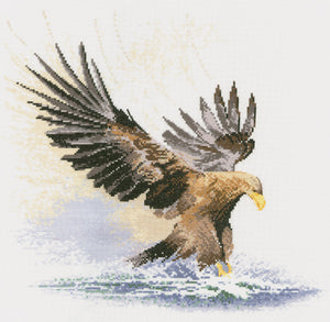 Eagle in Flight Cross Stitch Kit