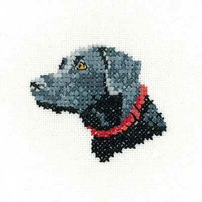 Black Labrador - Little Friends Cross Stitch Kit