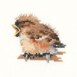 Sparrow - Little Friends Cross Stitch Kit