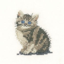 Tabby Kitten - Little Friends Cross Stitch Kit