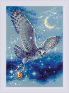 Magic Owl Cross Stitch Kit